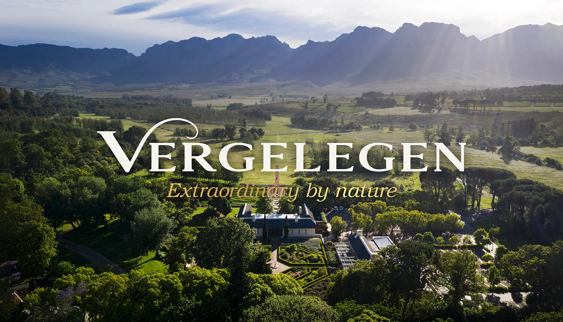 Vergelegen Case Study_Web images to export