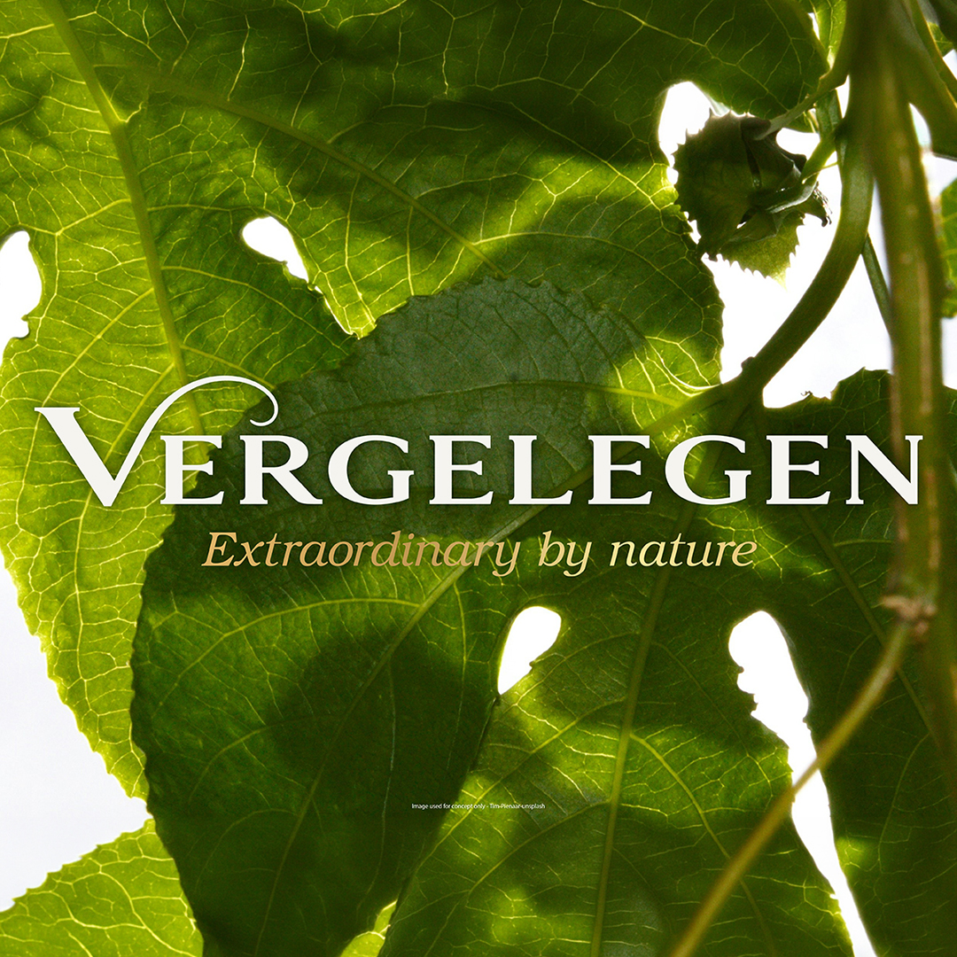 Vergelegen Case Study_Web images to export
